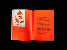 Load image into Gallery viewer, &quot;FLORES ROTAS&quot;  THE BOOK